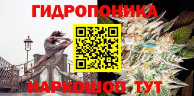 spice Комсомольск-на-Амуре